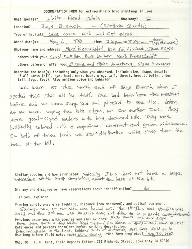 Rare bird documentation form for two White-faced Ibis at Bays Branch in Guthrie County, IA on May 6, 1990.