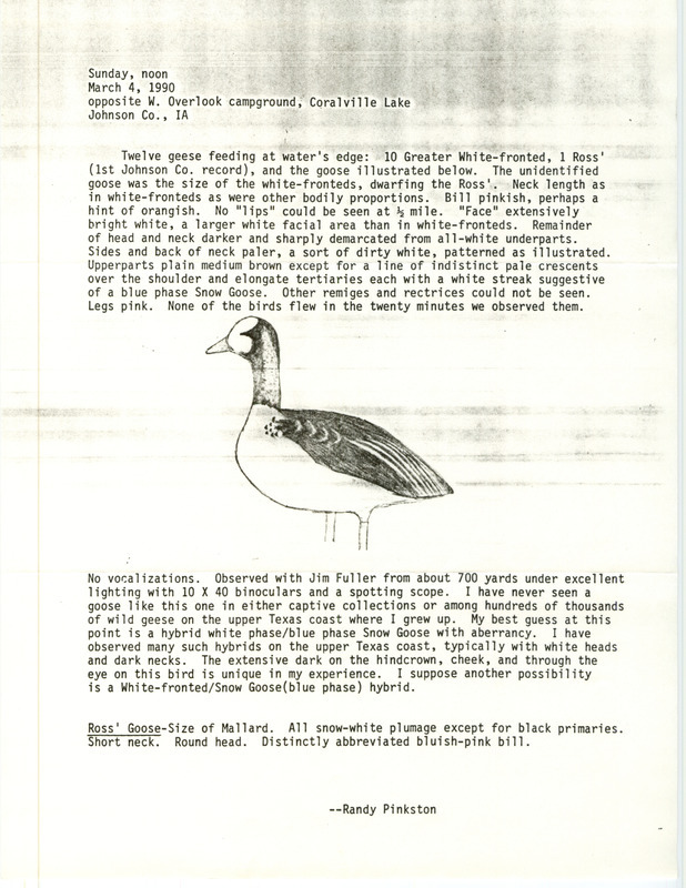 Rare bird documentation form for a Goose Species at West Overlook at Coralville Lake in Johnson County, IA on March 4, 1990.