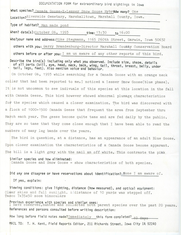 Rare bird documentation form for a Goose Species at Riverside Cemetery in Marshalltown in Marshall County, IA on October 6, 1993.