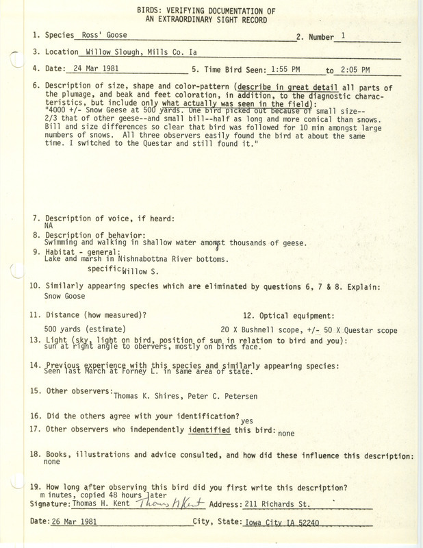 Rare bird documentation form a Ross' Goose at Willow Slough in Mills County, IA on March 24, 1981.