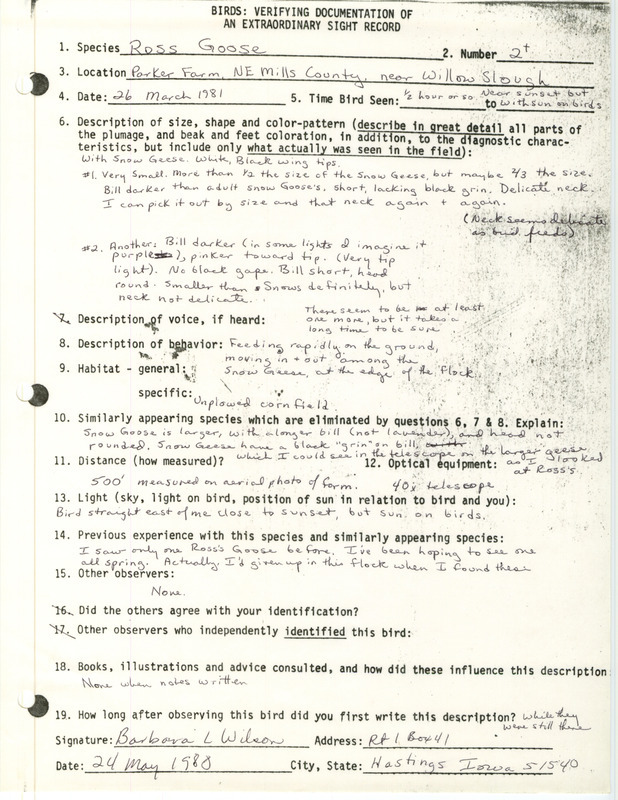 Rare bird documentation form for two or more Ross' Goose at Willow Slough in Mills County, IA on March 26, 1981.