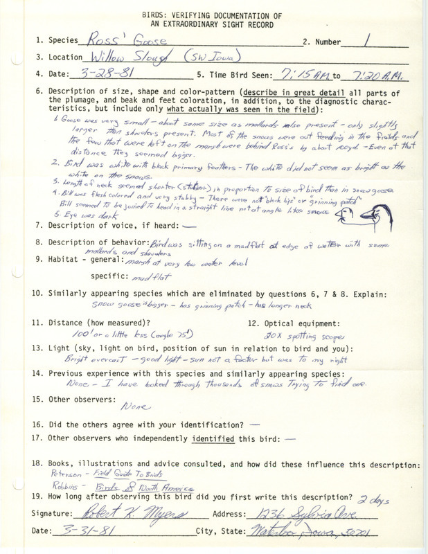 Rare bird documentation form for a Ross' Goose at Willow Slough in Mills County, IA on March 28, 1981.