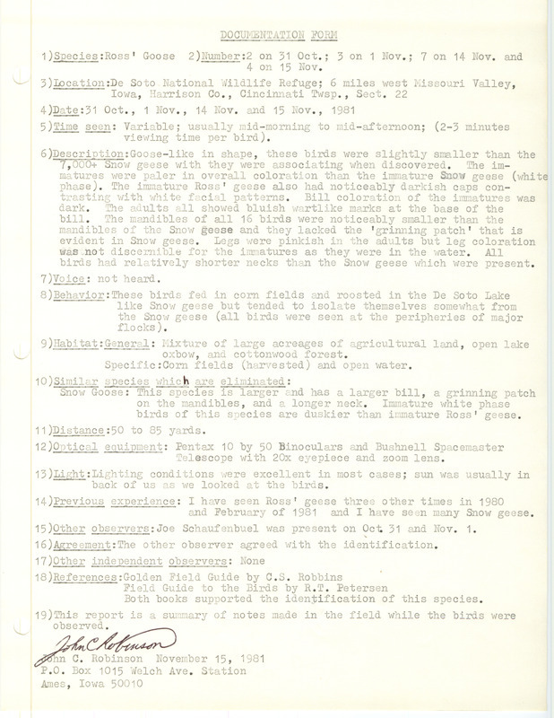 Rare bird documentation by John Robinson for varying numbers of Ross' Goose at DeSoto National Wildlife Refuge in Harrison County, IA on October 31, November 1, 14, and 15, 1981.