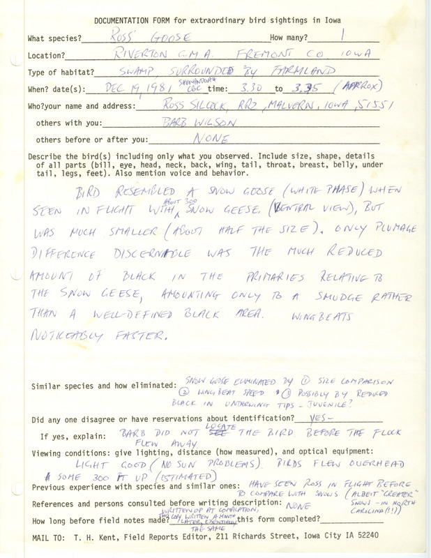 Rare bird documentation form for a Ross' Goose at Riverton Game Management Area in Fremont County, IA on December 19, 1981.