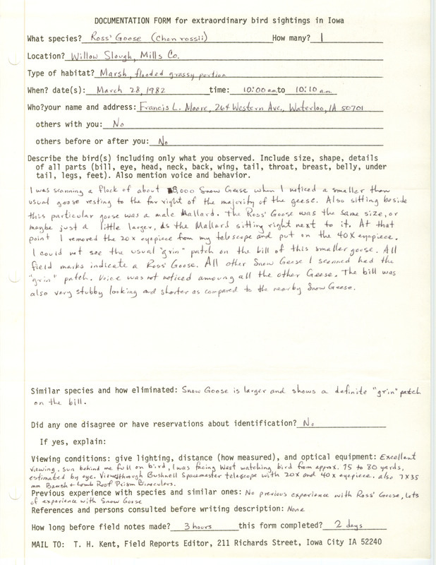 Rare bird documentation form for a Ross' Goose at Willow Slough in Mills County, IA on March 28, 1982.