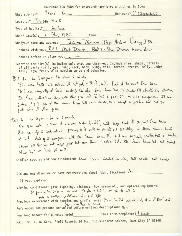 Rare bird documentation form for two Ross' Geese at DeSoto National Wildlife Refuge in Harrison County, IA on November 7, 1982.