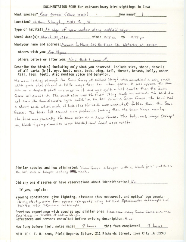 Rare bird documentation form for a Ross' Goose at Willow Slough in Mills County, IA on March 30, 1984.