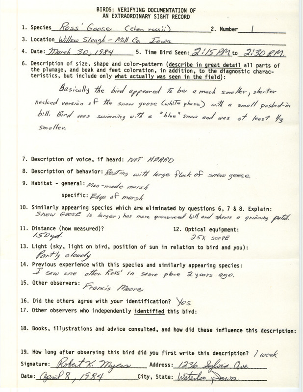 Rare bird documentation form for a Ross' Goose at Willow Slough in Mills County, IA on March 30, 1984.