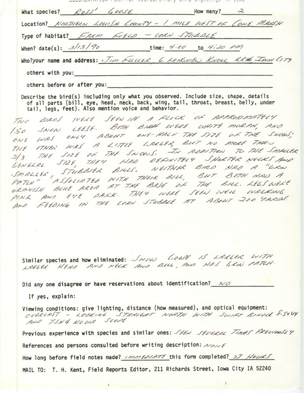 Rare bird documentation form for two Ross' Geese near Cone March in Louisa County, IA on March 15, 1990.