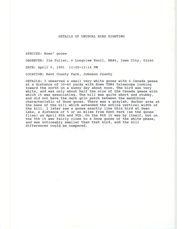 Rare bird documentation by James Fuller for a Ross' Goose at Kent County Park in Johnson County, AI on April 5, 8, and 9, 1991.