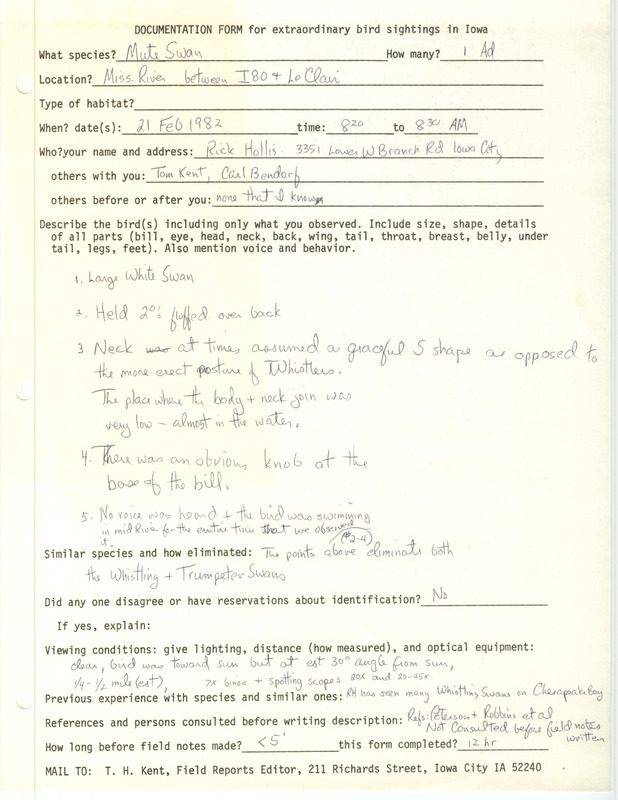 Rare bird documentation form for a Mute Swan at the Mississippi River near Le Claire in Scott County, IA on February 21, 1982.