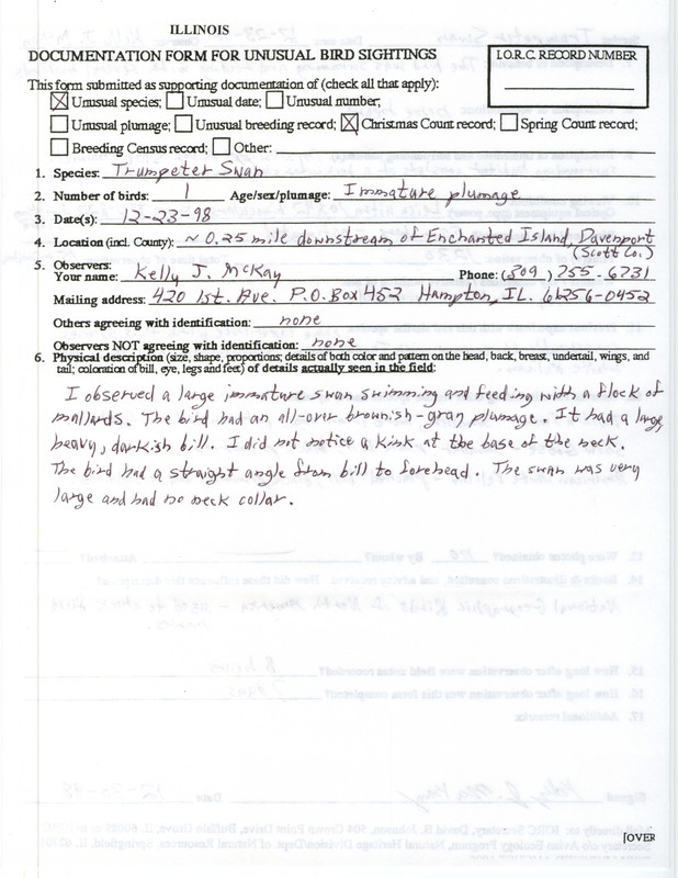 Rare bird documentation form for a Trumpeter Swan at Mississippi River near Enchanted Island in Davenport in Scott County, IA on December 23, 1998.