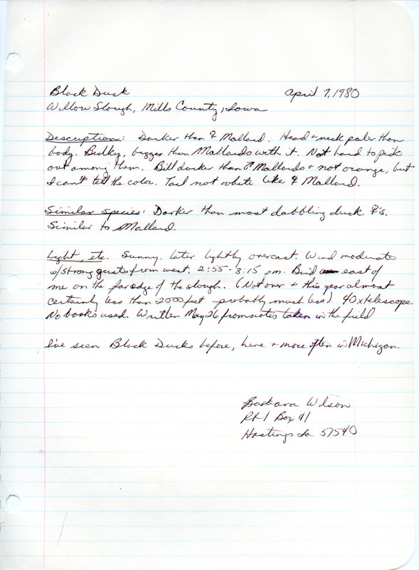 Rare bird documentation form for a Black Duck at Willow Slough in Mills County, IA on April 7, 1980.