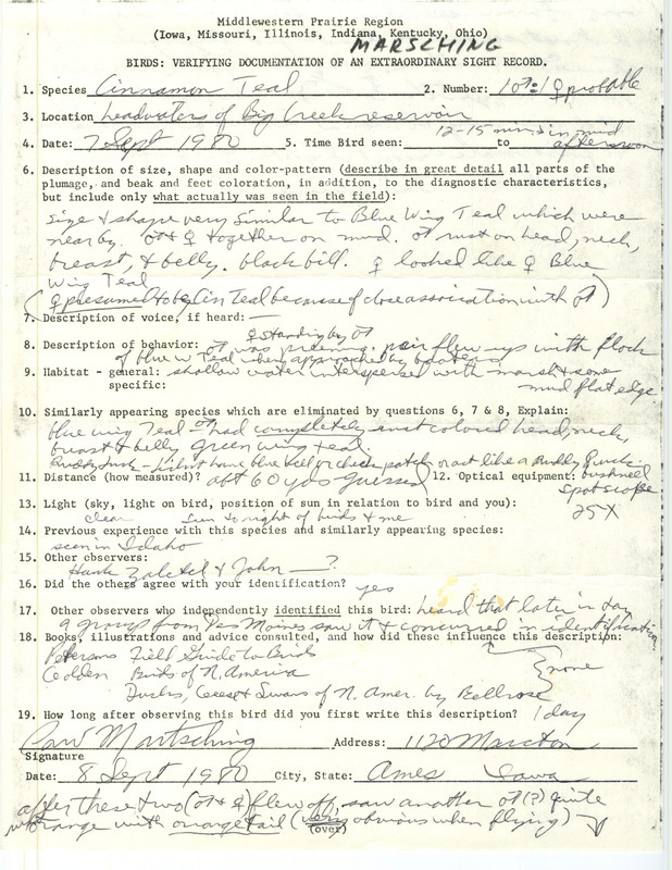 Rare bird documentation form for ten Cinnamon Teals at Big Creek Reservoir in Polk County, IA on September 7, 1980.