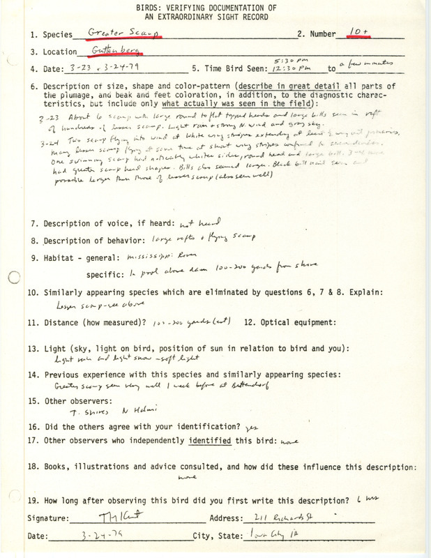 Rare bird documentation form for ten or more Greater Scaups at Guttenberg in Clayton County, IA on March 23, 1979.