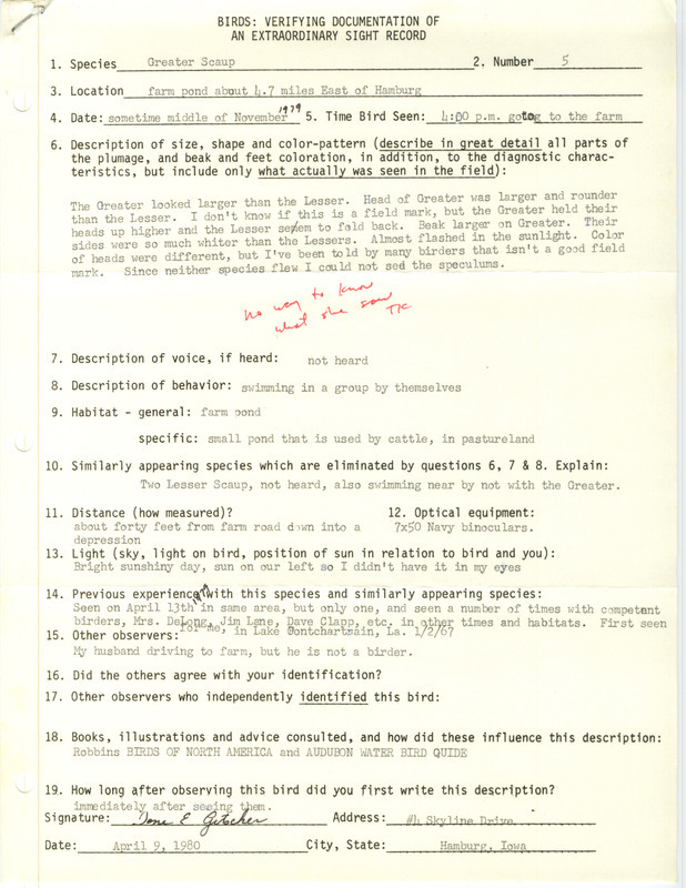 Rare bird documentation form for five Greater Scaups at Hamburg in Fremont County, IA during the middle of November 1979.