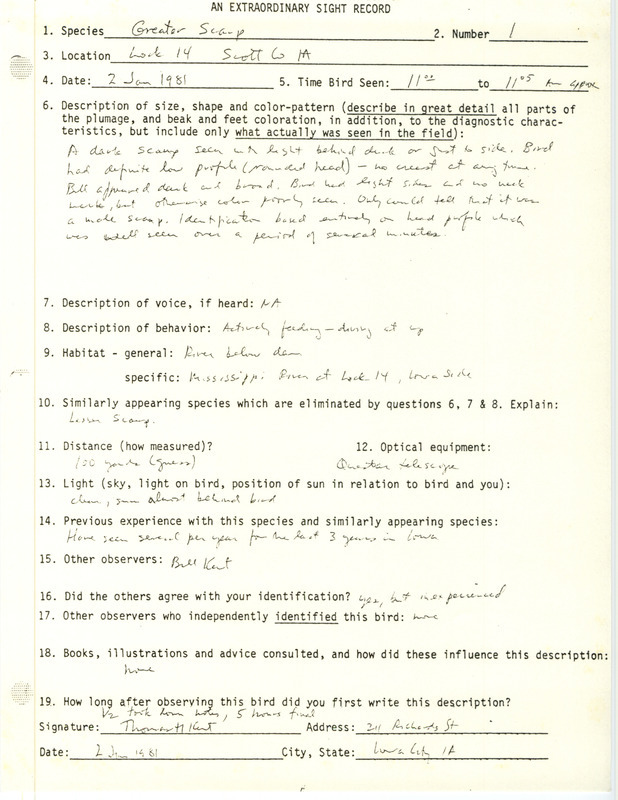 Rare bird documentation form for Greater Scaup at Lock 14 in Scott County, IA on January 2, 1981.