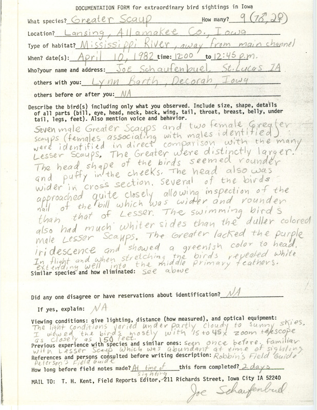 Rare bird documentation form for nine Greater Scaups at Lansing in Allamakee County, IA on April 10, 1982.