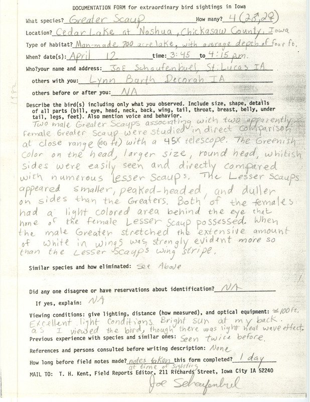 Rare bird documentation form for four Greater Scaups at Cedar Lake at Nashua, in Chickasaw County, IA on April 12, 1982.