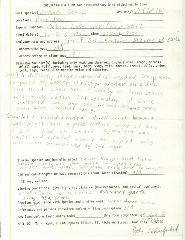 Rare bird documentation form for two Greater Scaups at Port Neal in Woodbury County, IA on June 6, 1982.