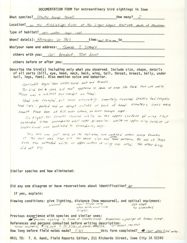 Rare bird documentation form for two Greater Scaups south of Montrose in Lee County, IA on November 20, 1983.