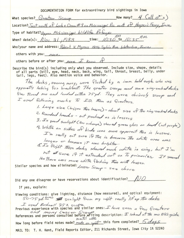 Rare bird documentation form for four Greater Scaups at Lock and Dam 9 in Allamakee County, IA on November 21, 1983.