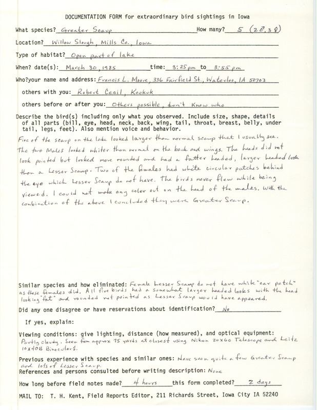 Rare bird documentation form for five Greater Scaups at Willow Slough in Mills County, IA on March 30, 1985.