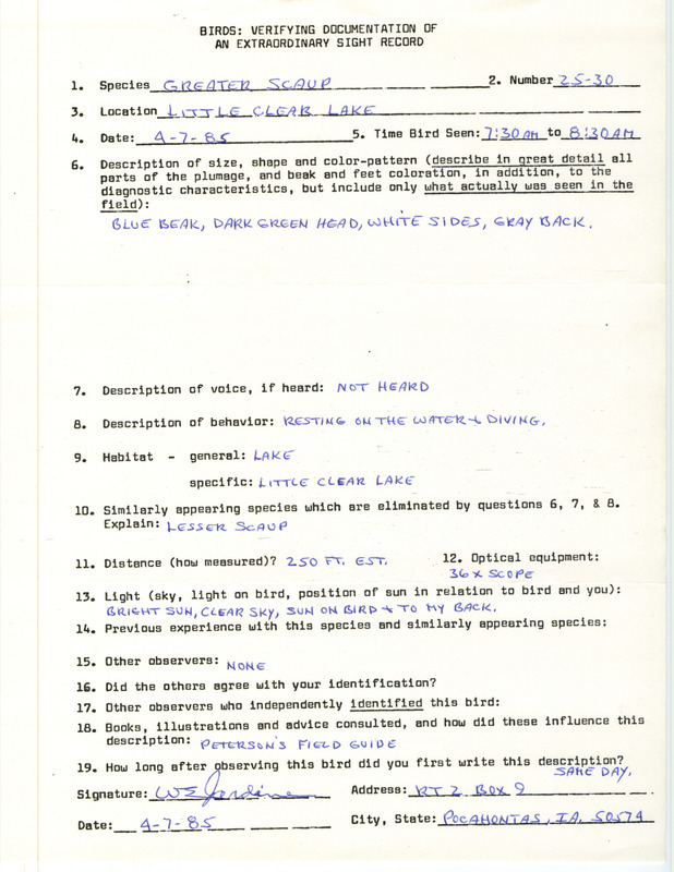 Rare bird documentation form for twenty-five to thirty Greater Scaups at Little Clear Lake in Pocahontas County, IA on April 7, 1985.