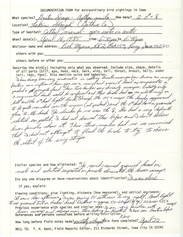 Rare bird documentation form for two Greater Scaups at Lakin Slough in Guthrie County, IA on April 16, 1985.