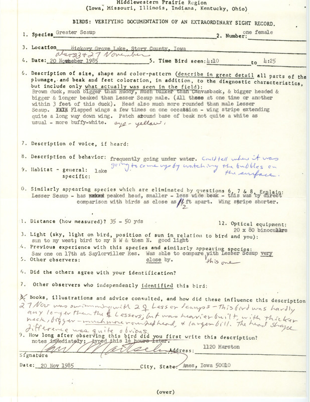 Rare bird documentation form for a Greater Scaup at Hickory Grove Lake in Story County, IA on November 20, 23, and 27, 1985.