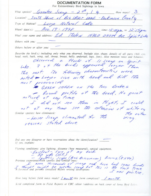 Rare bird documentation form for three Greater Scaups at Big Spirit Lake in Dickinson County, IA on November 19, 1998.