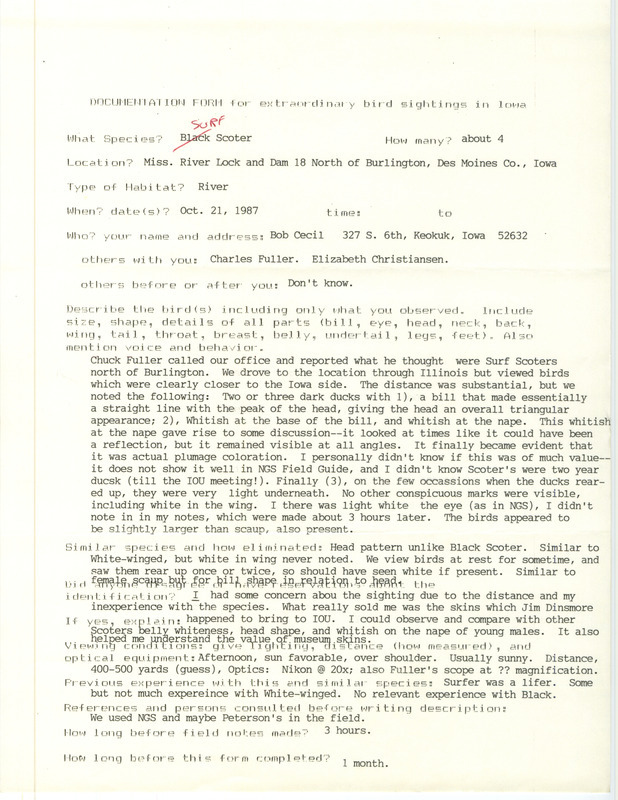 Rare bird documentation for four Surf Scoters at Lock and Dam 18 north of Burlington in Des Moines County, IA on October 21, 1987.