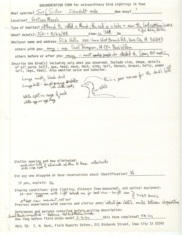 Rare bird documentation form for a Surf Scoter at Ventura March in Cerro Gordo County, IA on May 21 and 22, 1988.