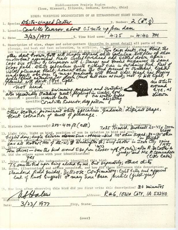 Rare bird documentation form for two White-winged Scoters at Coralville Reservoir in Johnson County, IA on March 23, 1977.