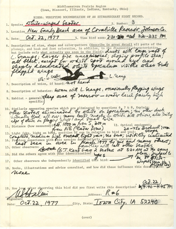 Rare bird documentation form for three White-winged Scoters at Coralville Reservoir in Johnson County, IA on October 22, 1977.