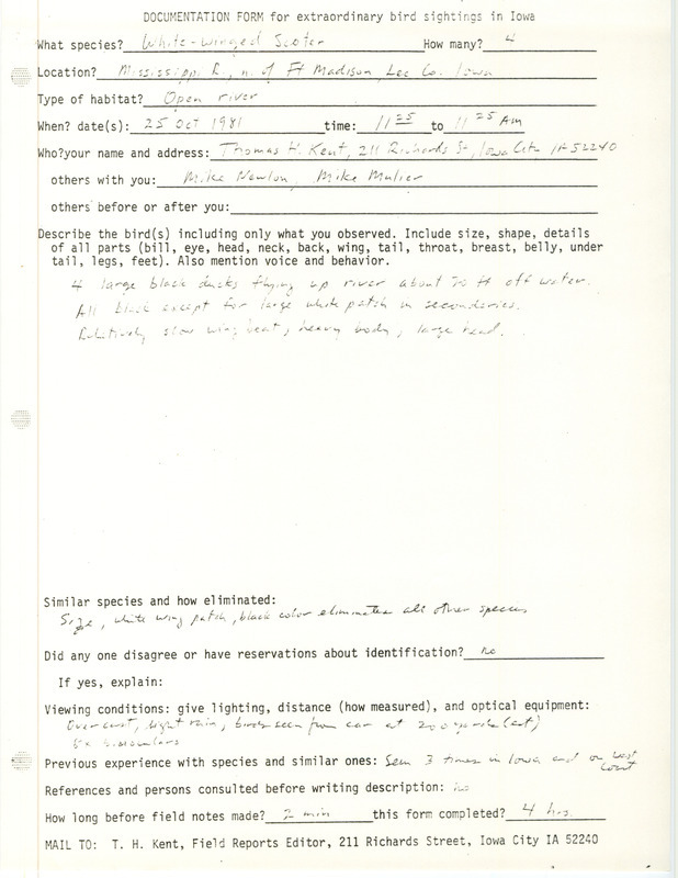 Rare bird documentation form for four White-winged Scoters north of Fort Madison on the Mississippi River in Lee County, IA on October 25, 1981.