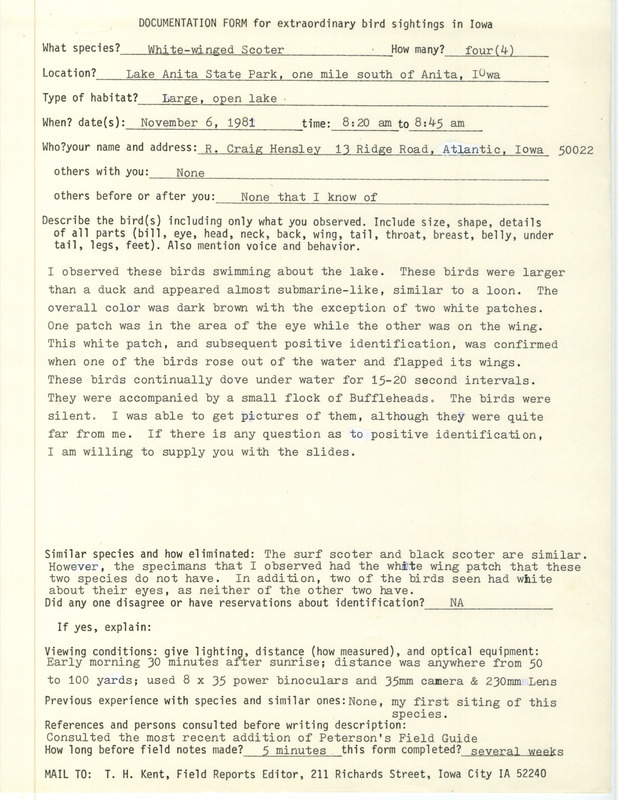 Rare bird documentation form for four White-winged Scoters at Lake Anita State Park in Cass County, IA on November 6, 1981.