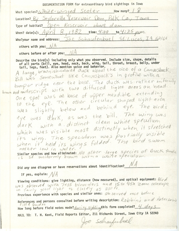 Rare bird documentation form for a White-winged Scoter at Saylorville Reservoir Dam in Polk County, IA on April 8, 1982.