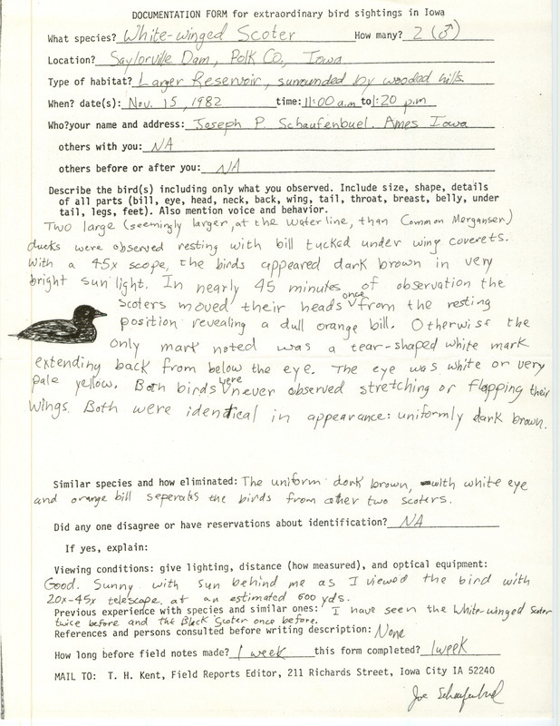 Rare bird documentation form for two White-winged Scoters at Saylorville Dam in Polk County, IA on November 15, 1982.