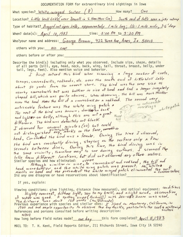 Rare bird documentation form for a White-winged Scoter at Little Wall Lake in Hamilton County, IA on April 10, 1983.