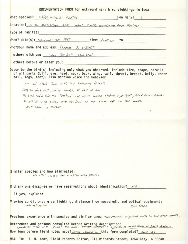 Rare bird documentation form for a White-winged Scoter near Montrose in Lee County, IA on November 20, 1983.