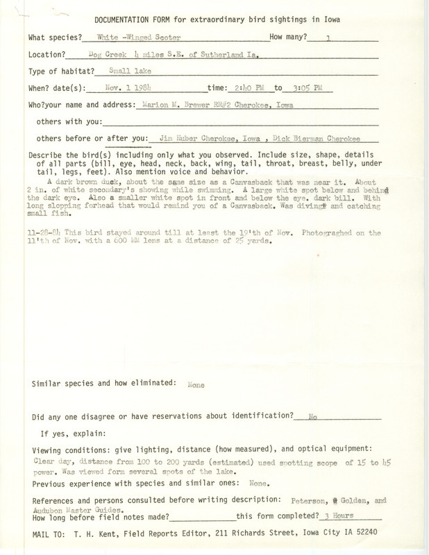 Rare bird documentation form with additional notes for a White-winged Scoter at Dog Creek, in O'Brien County, IA on November 1, 1984.