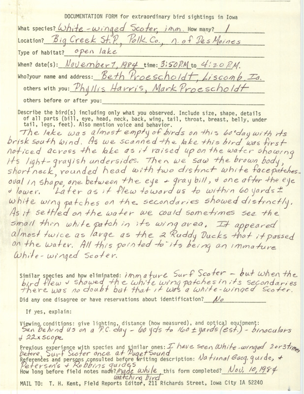 Rare bird documentation form for a White-winged Scoter at Big Creek State Park in Polk County, IA on November 7, 1984.