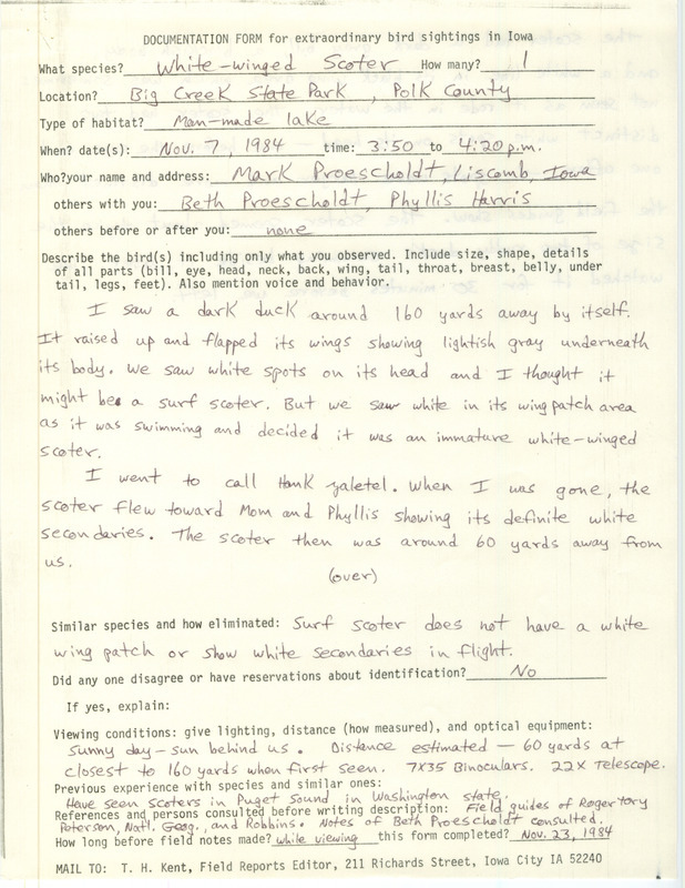 Rare bird documentation form for a White-winged Scoter at Big Creek State Park in Polk County, IA on November 7, 1984.