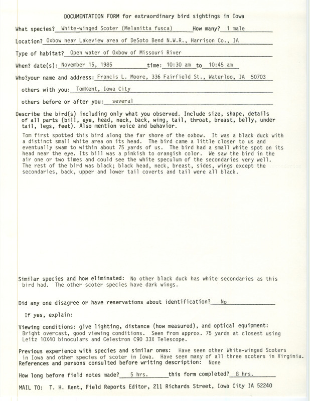 Rare bird documentation form for a White-winged Scoter at DeSoto Bend National Wildlife Refuge at Harrison County, IA on November 15, 1985.