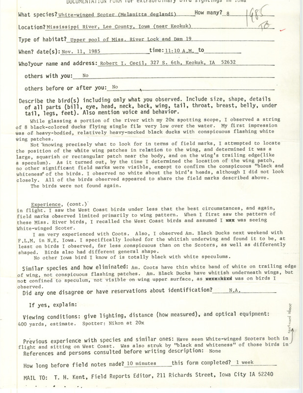 Rare bird documentation form for eight White-winged Scoters on the Mississippi River near Keokuk in Lee County, IA on November 11, 1985.