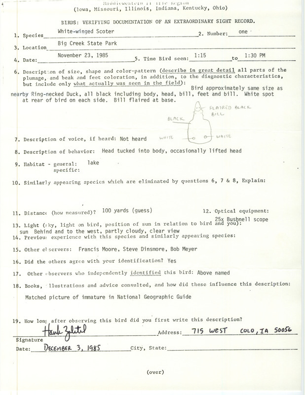 Rare bird documentation form for a White-winged Scoter at Big Creek State Park in Polk County, IA on November 23, 1985.