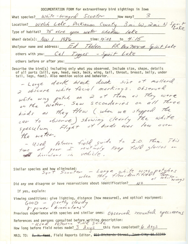 Rare bird documentation form for three White-winged Scoters at Welch Lake in Dickinson County, IA on November 1, 1986.