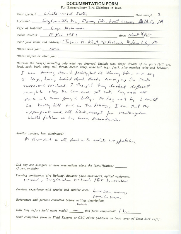 Rare bird documentation form for three White-winged Scoters at Saylorville Reservoir in Polk County, IA on November 13, 1987.