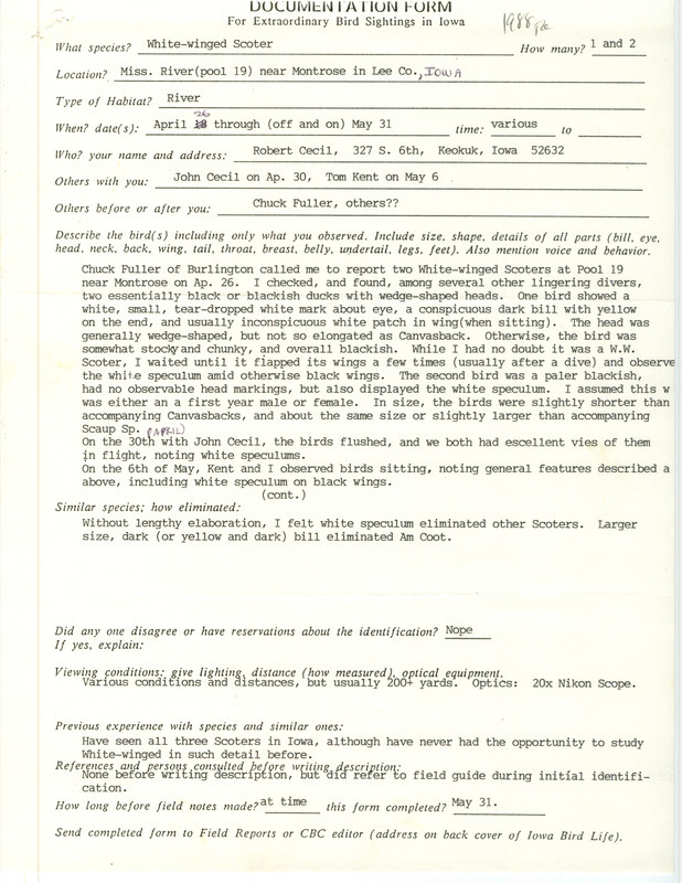 Rare bird documentation forms for one to two White-winged Scoters near Montrose and Keokuk in Lee County, IA, April 26, 1988--June 5, 1988.